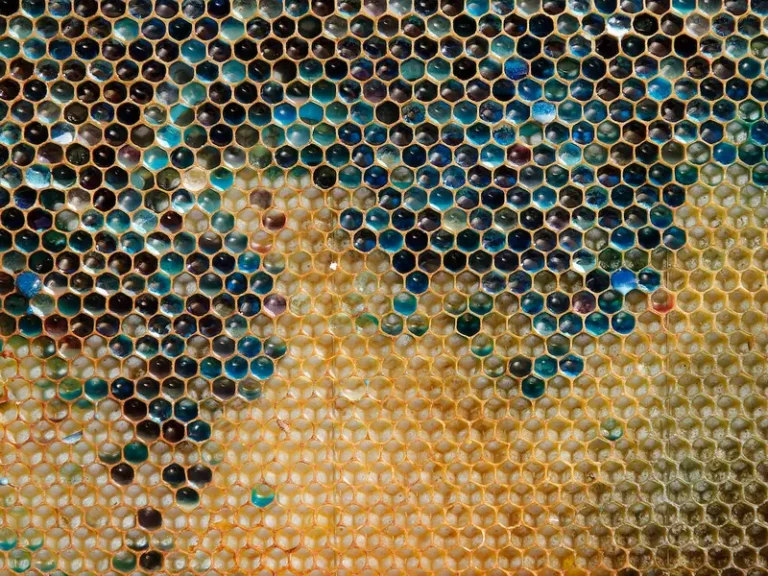 What is analytic geometry 14 analytic geometry